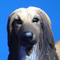 �h�[���@�A�t�K���i�ѐF�^���j