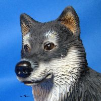 �h�[���@�A���X�J���}���~���[�g�@��