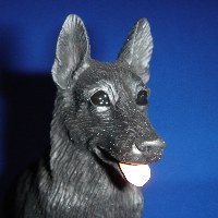 �h�[���@�u���b�N�W���[�}���V�F�p�[�h�@��